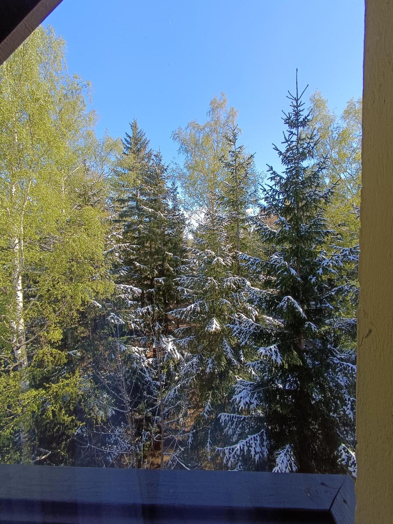 Willa Alaska Karpacz Eksteriør bilde
